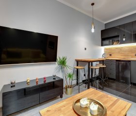 Apartament Długi Targ Old City