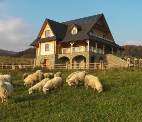 Willa Grywałd | Pieniny, pokoje z widokiem na góry. Pyszne śniadania.