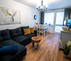Apartamenty Lokum