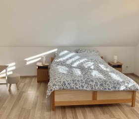 Apartament Borowik 