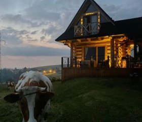 Little House