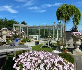 Domki Basen, Małpi Gaj -Wszystko dla dzieci