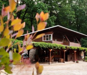 Basen Przesieka - drewniany dom z dużym stawem