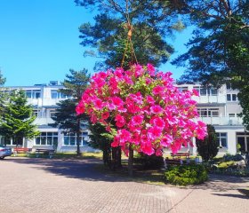 KOMFORTOWE POKOJE BLISKO PLAŻY