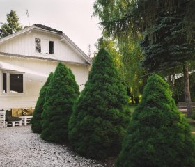 Domek na wsi - Fyrtokfest