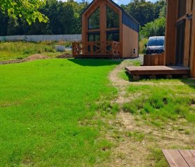 Brzozowy zakątek w Pokrzywnej