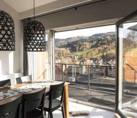 Ski & Bike Apartment