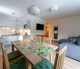 Apartamenty Sun & Ski Willa Nad Strumieniem Nadrzeczna 3D i 3E - centrum 300m