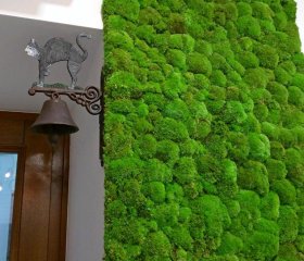 Apartament Starowiślna