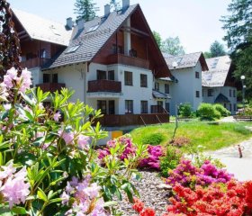 Apartament Polana-Karpacz