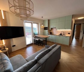 Apartament Partykularz z tarasem i widokiem na Śnieżkę