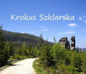 Apartament Krokus Szklarska - kolej linowa na Szrenicę 7 minut pieszo, wysoki standard, światłowód, parking