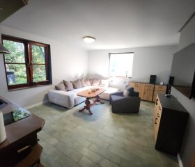 Wilcza Poręba Apartament