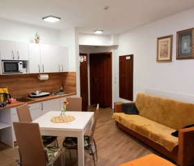 Apartament ,,KWIATEK" blisko centrum, stok i szlaki. Parking i ogródek. 