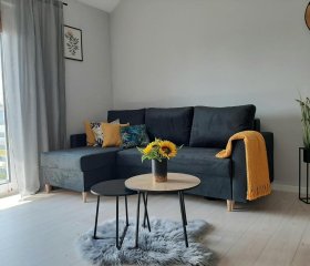 Apartament Miodowy