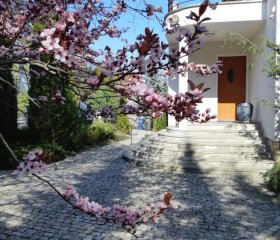 Apartamenty w Parku- Rydz Polanica Zdrój