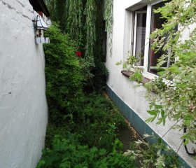 Mur 4 - Apartament z patio