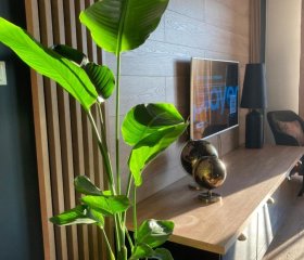 Apartamenty Termalne GREEN Apartment