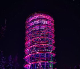 Apartamenty pod Dzikowcem