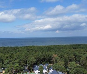 Apartament w sosnowym lesie