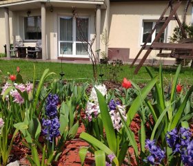 Pod Skrzydłami Podlasia