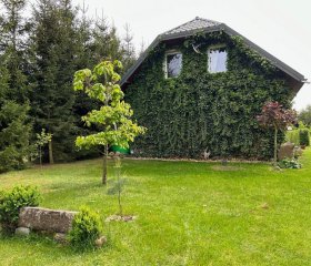 Pucówka na skraju Puszczy Białowieskiej