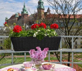 Castle View Boutique Apartment