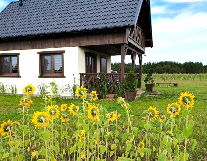 Wdzydzka Chatka