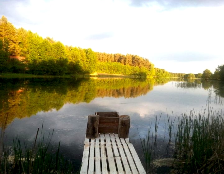 Kaszuby nad jeziorem Płęsno