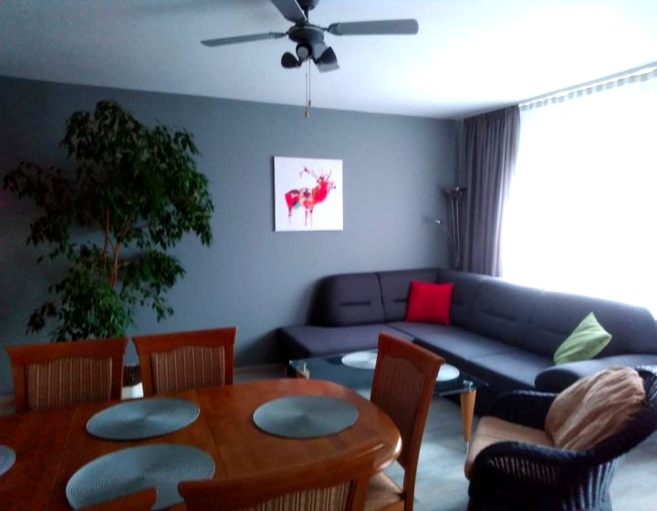 Domotel TM Apartamenty dla firm w centrum miasta.