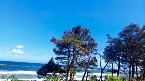 APARTAMENT BALTICHOFF PREMIUM with Sea View, Basen, Spa, Gym, Sauna, hala sportowa z kortem tenisowym
