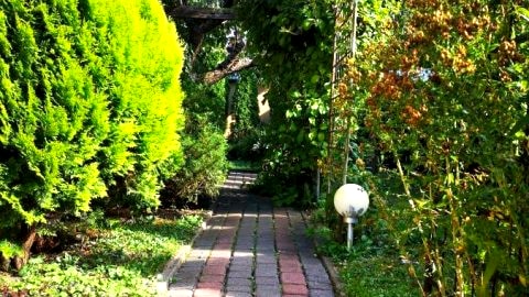Apartament 3osobowy