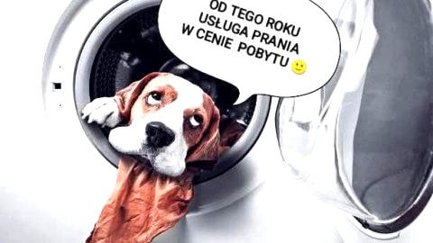 Świętokrzyska Chata Biegacza - dom przy szlaku