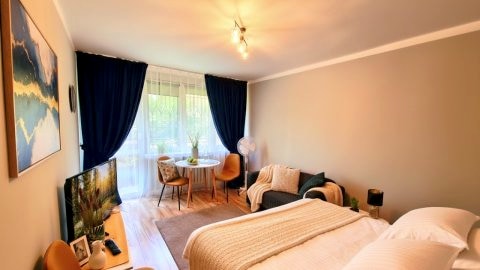 Apartament Wapienna