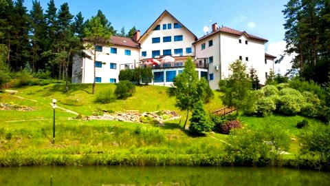 Hotel Perła Bieszczadów Geovita