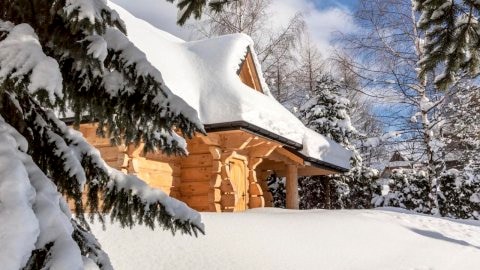 Mountain Base - Domek Oaza
