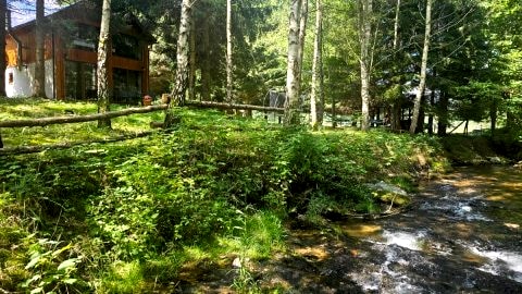 Nad Potokiem z Alpakami