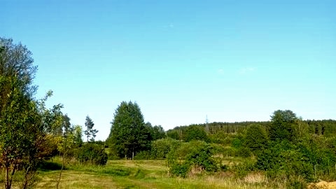 Tani Camping
