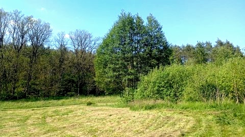 Tani Camping