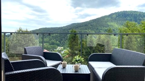 APARTAMENT SKANDYNAWSKI 2-poziomowy SAUNA JACUZZI