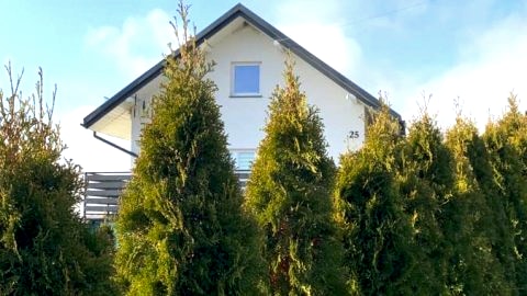 Aura Home