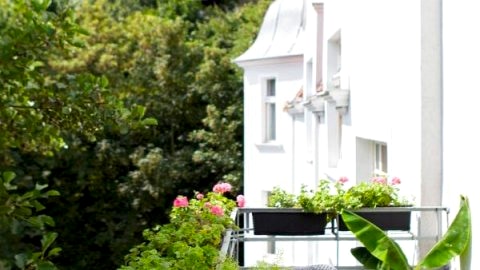 King Sobieski Apartments by OneApartments