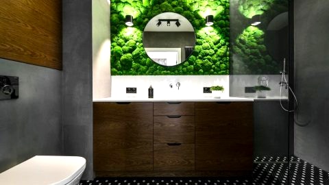 Moss Apartment