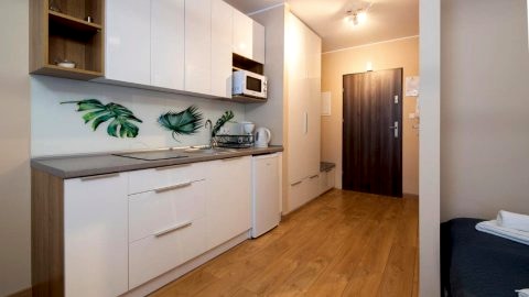 Apartament - studio Wisła z widokiem na góry