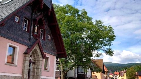 Apartament 39
