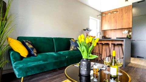 Lumina premium apartments for a family