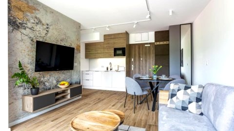 Apartament Kryształ Górski - Stone Hill