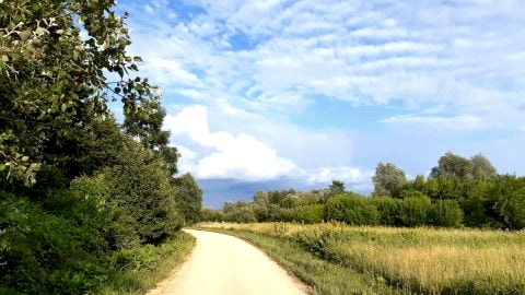 Domek na Podlasiu