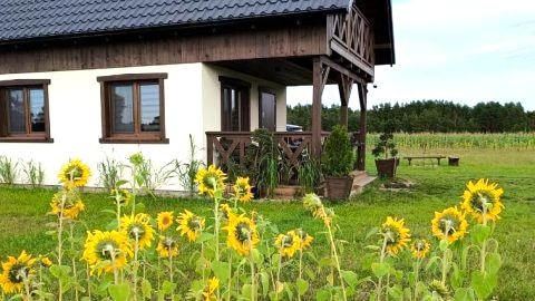 Wdzydzka Chatka