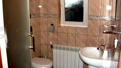 Urokliwe położenie gospodarstwa 8 km koło Elbląga